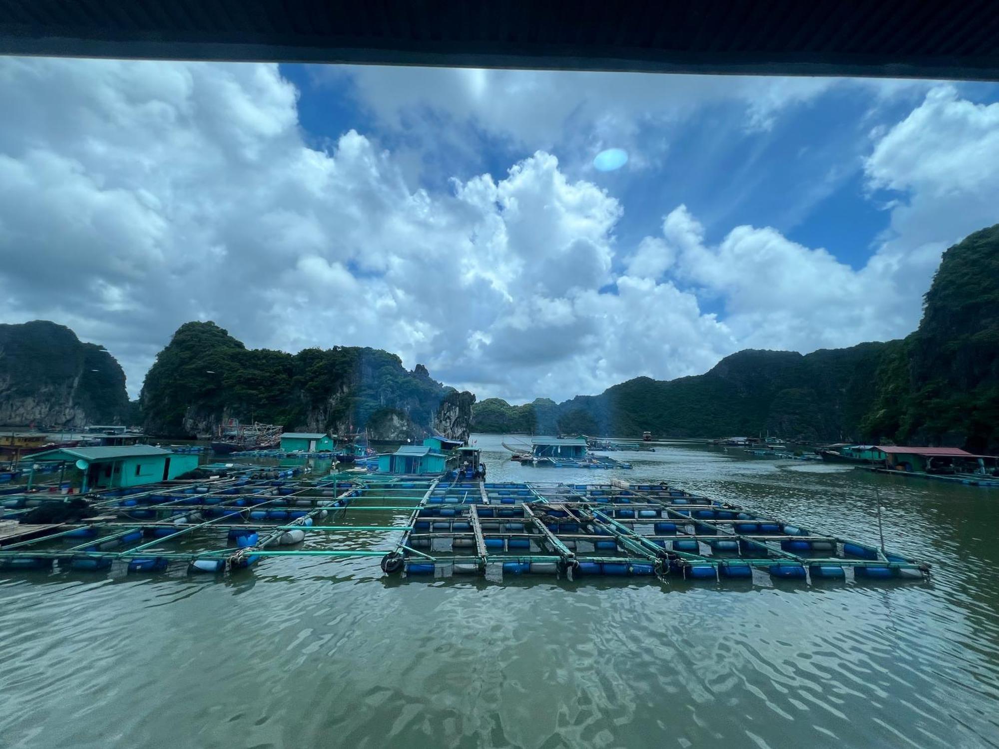 Mb Central Hotel Cat Ba Island Esterno foto
