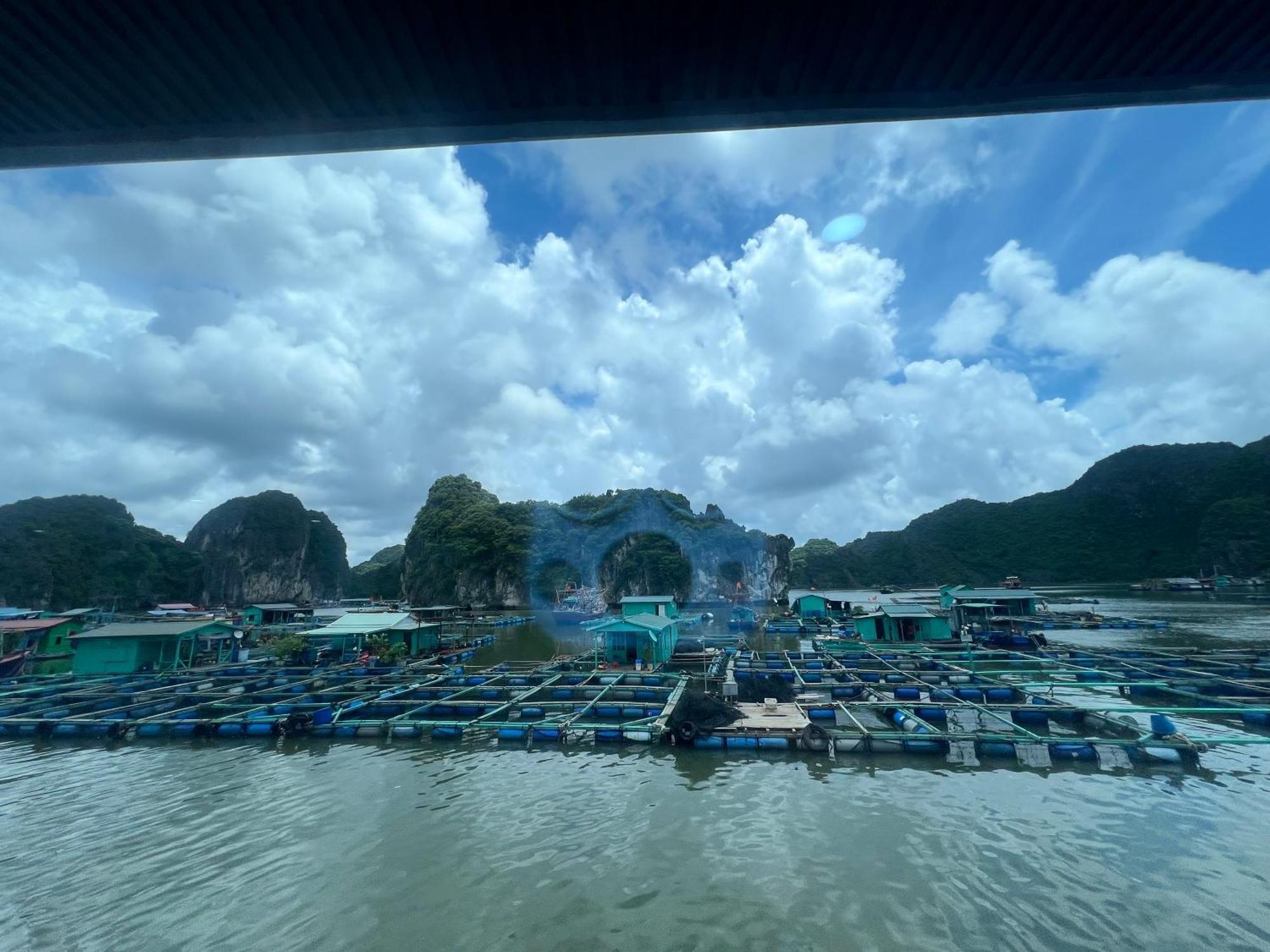 Mb Central Hotel Cat Ba Island Esterno foto